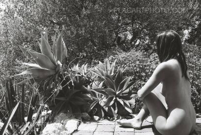 Veronica Mecchia,Wild Flower (with print !Signed and numbered) Veronica Mecchia,Wild Flower (with print !Signed and numbered)