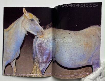 Emilie Traverse,Nuit Blanche (Signed) Emilie Traverse,Nuit Blanche (Signed)