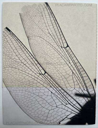 Alice Grou,Nervuras Noturno (Signed and numbered, edt of 500) Alice Grou,Nervuras Noturno (Signed and numbered, edt of 500)