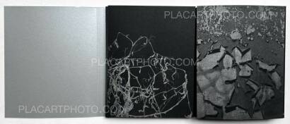 Sayuri Ichida,Absentee Sayuri Ichida,Absentee