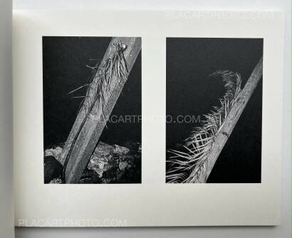 Fabio Miguel Roque,Awaken/Nekawa (Signed) Fabio Miguel Roque,Awaken/Nekawa (Signed)