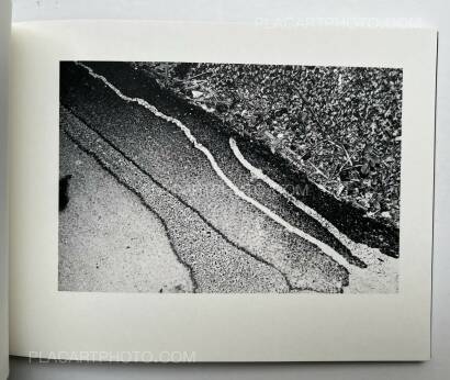 Fabio Miguel Roque,Awaken/Nekawa (Signed) Fabio Miguel Roque,Awaken/Nekawa (Signed)