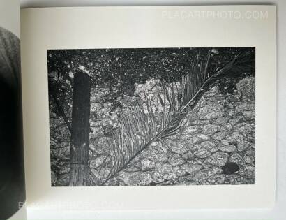 Fabio Miguel Roque,Awaken/Nekawa (Signed) Fabio Miguel Roque,Awaken/Nekawa (Signed)