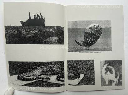 Özlem Altin,Freunde und Futter Özlem Altin,Freunde und Futter