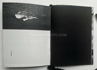 Léa Abaroa,Chinese City Dying Flower Léa Abaroa,Chinese City Dying Flower