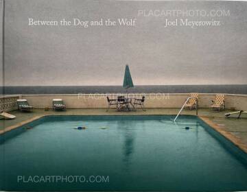 Joel Meyerowitz,Between the Dog and the Wolf Joel Meyerowitz,Between the Dog and the Wolf