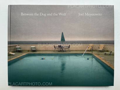 Joel Meyerowitz,Between the Dog and the Wolf Joel Meyerowitz,Between the Dog and the Wolf