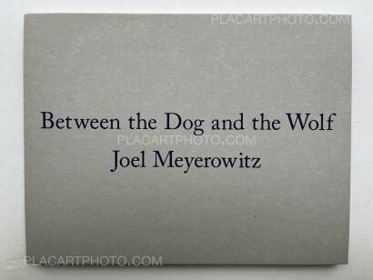 Joel Meyerowitz,Between the Dog and the Wolf Joel Meyerowitz,Between the Dog and the Wolf