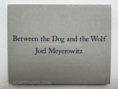 Joel Meyerowitz,Between the Dog and the Wolf