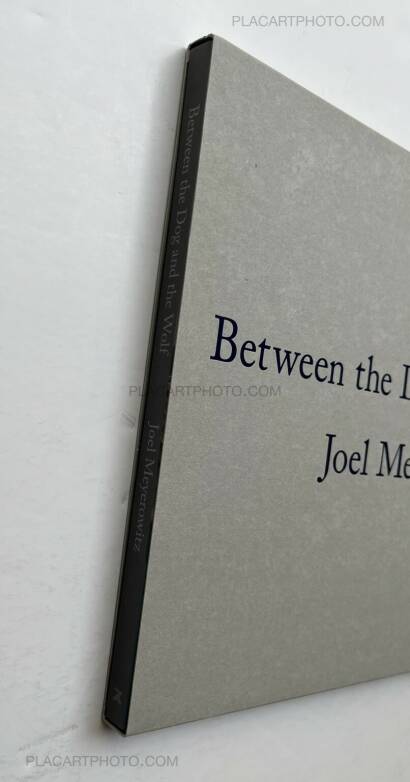 Joel Meyerowitz,Between the Dog and the Wolf Joel Meyerowitz,Between the Dog and the Wolf