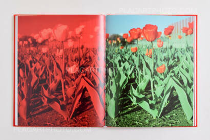 Andrew Miksys,Tulips (SEALED COPY) Andrew Miksys,Tulips (SEALED COPY)