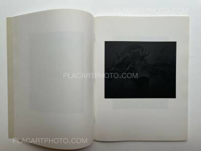 Israel Ariño,La gravetat del lloc (first edt) Israel Ariño,La gravetat del lloc (first edt)