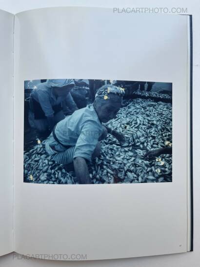 Takashi Hamaguchi,The Jewel Coast Takashi Hamaguchi,The Jewel Coast