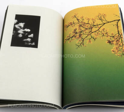 Paul Cupido,4 a.m. (SEALED COPY)