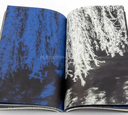 Paul Cupido,4 a.m. (SEALED COPY)