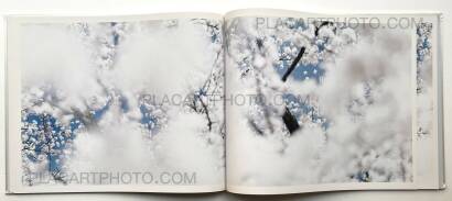 Risaku Suzuki,YUKI . SAKURA Risaku Suzuki,YUKI . SAKURA