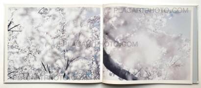 Risaku Suzuki,YUKI . SAKURA Risaku Suzuki,YUKI . SAKURA