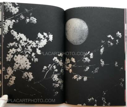 Paul Cupido,MUKAYU (SIGNED) Paul Cupido,MUKAYU (SIGNED)