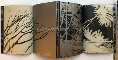 Paul Cupido,MUKAYU (SIGNED) Paul Cupido,MUKAYU (SIGNED)