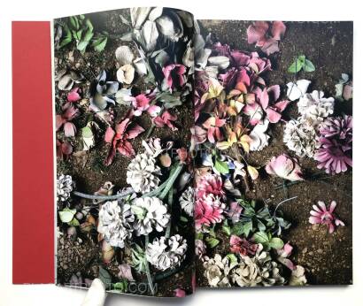 David Galjaard,CONCRESCO David Galjaard,CONCRESCO