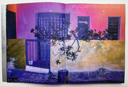 ARKO DATTO,SNAKE FIRE ARKO DATTO,SNAKE FIRE