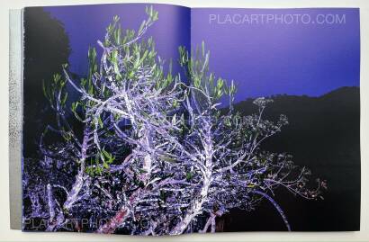 ARKO DATTO,SNAKE FIRE ARKO DATTO,SNAKE FIRE