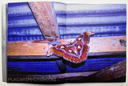 ARKO DATTO,SNAKE FIRE ARKO DATTO,SNAKE FIRE