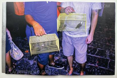 ARKO DATTO,SNAKE FIRE ARKO DATTO,SNAKE FIRE