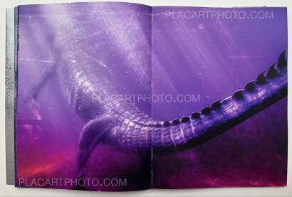 ARKO DATTO,SNAKE FIRE ARKO DATTO,SNAKE FIRE