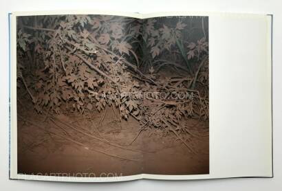 Viviane Sassen,Flamboya (First edition) Viviane Sassen,Flamboya (First edition)
