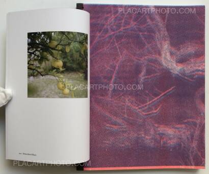 Ying Ang,The Quickening (Edt ltd signed and numbered) Ying Ang,The Quickening (Edt ltd signed and numbered)