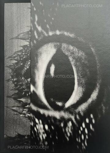 Aleksei Kazantsev,Relaxing Chamber Aleksei Kazantsev,Relaxing Chamber