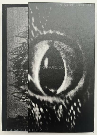 Aleksei Kazantsev,Relaxing Chamber Aleksei Kazantsev,Relaxing Chamber