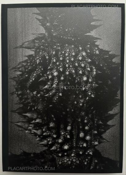 Aleksei Kazantsev,Relaxing Chamber Aleksei Kazantsev,Relaxing Chamber