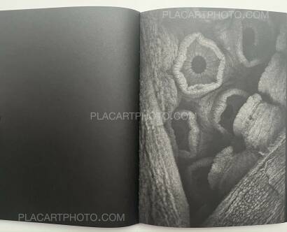 Aleksei Kazantsev,Relaxing Chamber Aleksei Kazantsev,Relaxing Chamber