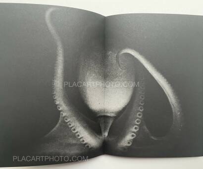 Aleksei Kazantsev,Relaxing Chamber Aleksei Kazantsev,Relaxing Chamber