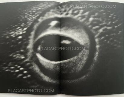 Aleksei Kazantsev,Relaxing Chamber Aleksei Kazantsev,Relaxing Chamber