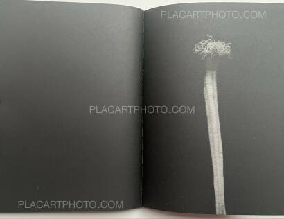 Aleksei Kazantsev,Relaxing Chamber Aleksei Kazantsev,Relaxing Chamber