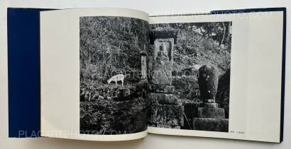 Takeji Iwamiya,Sado Takeji Iwamiya,Sado