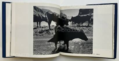 Takeji Iwamiya,Sado Takeji Iwamiya,Sado