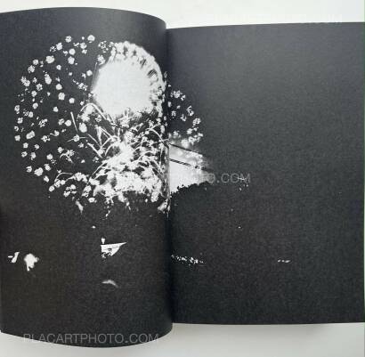 Clément Paradis,La Fin de l'Abondance Clément Paradis,La Fin de l'Abondance