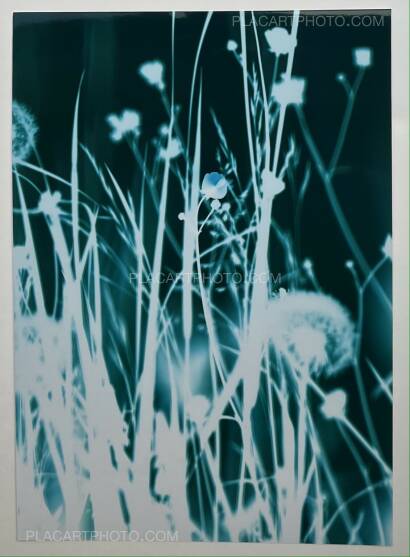 Hendrik Zeitler,1:1 Hammarkullen (WITH SIGNED AND NUMBERED PRINT) Hendrik Zeitler,1:1 Hammarkullen (WITH SIGNED AND NUMBERED PRINT)