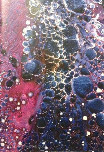 Daisuke Yokota,Cell (signed) Daisuke Yokota,Cell (signed)