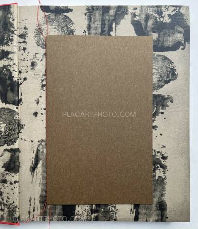 Stephen Gill,The Pillar Stephen Gill,The Pillar