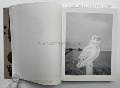 Stephen Gill,The Pillar Stephen Gill,The Pillar