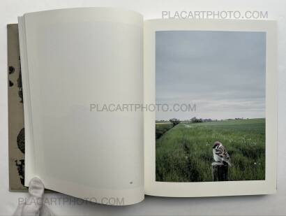 Stephen Gill,The Pillar Stephen Gill,The Pillar