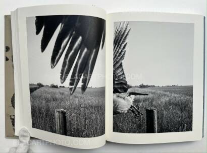 Stephen Gill,The Pillar Stephen Gill,The Pillar