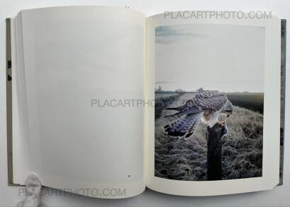 Stephen Gill,The Pillar Stephen Gill,The Pillar