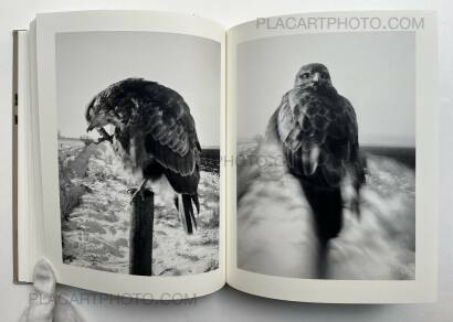 Stephen Gill,The Pillar Stephen Gill,The Pillar