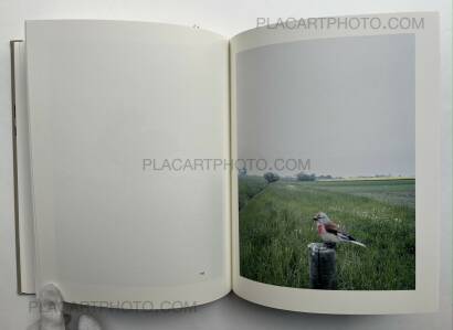 Stephen Gill,The Pillar Stephen Gill,The Pillar